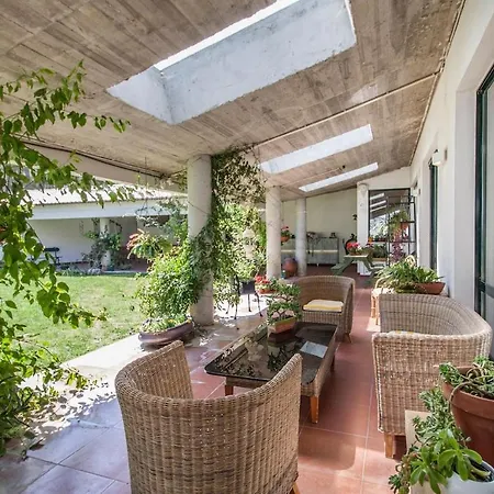 Do Cisne * Charneca (Setubal)