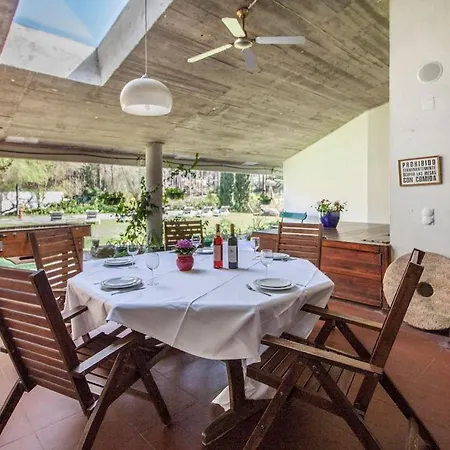 Do Cisne 차르네카