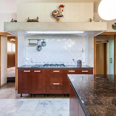 Do Cisne 차르네카