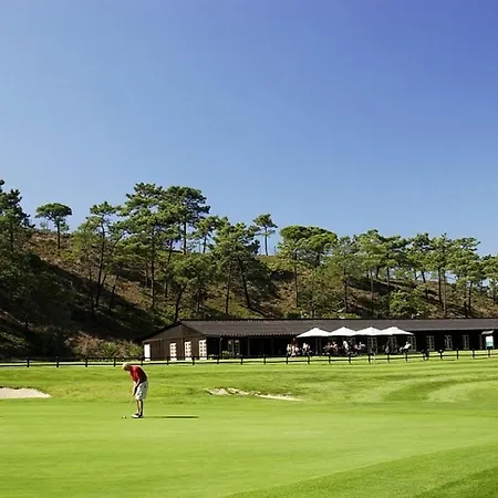 Do Cisne 차르네카