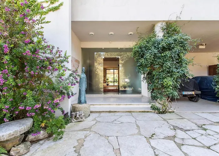 Do Cisne * 沙尔内卡