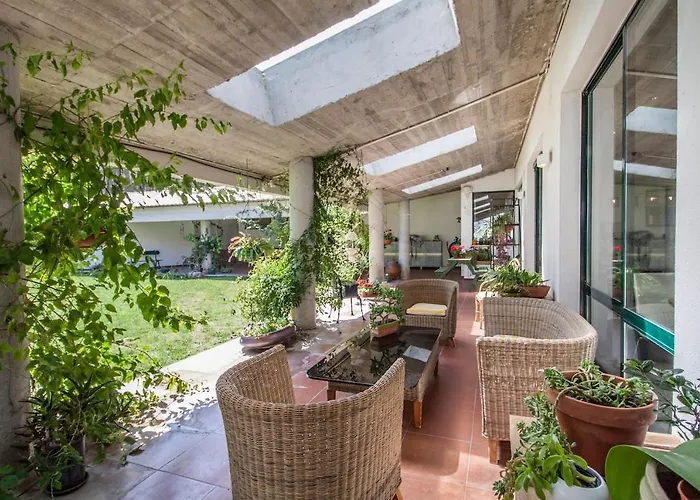 Do Cisne * Charneca (Setubal)