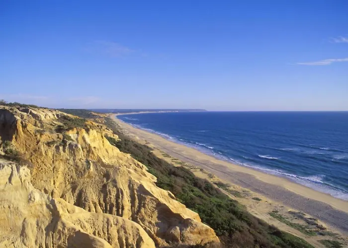 Do Cisne Charneca (Setubal)