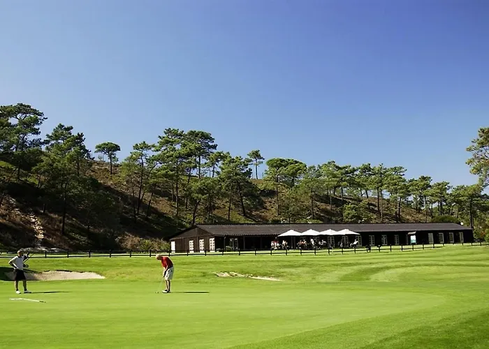 Do Cisne Charneca (Setubal)